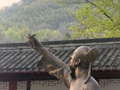 -采石矶景区