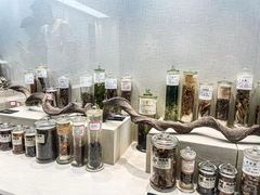 -广东中医药博物馆
