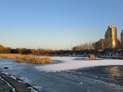 -前关湿地公园