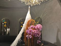 -滇野云南野生菌餐厅(陕西南路店)