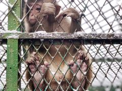 -藏龙百瀑风景区