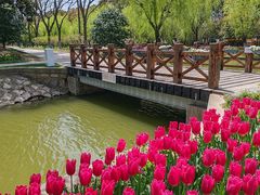 -上海鲜花港