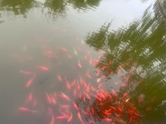 -迎泽公园