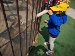 -萌宠亲子动物乐园(槐房万达店)