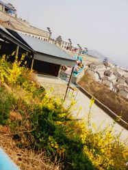 -窦王岭景区游乐场
