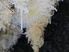 -巴马水晶宫
