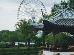-无锡蠡湖国家湿地公园-蠡园