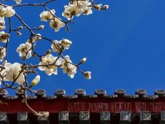 -北京颐和宾馆