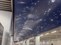 -上海港国际客运中心