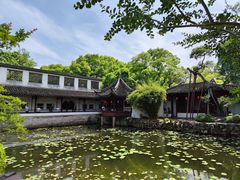 -上海醉白池公园