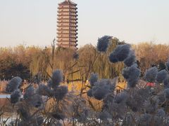 -西海子公园
