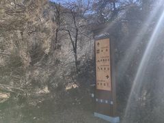 -米堆冰川
