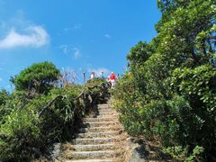 -梧桐山风景名胜区