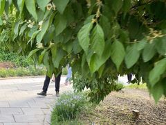 -长春市南湖公园