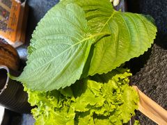 -炭虎烤肉(桂林路店)