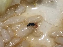 -陈光记烧腊(长寿路店)