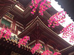 -新加坡佛牙寺龙华院