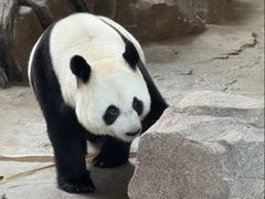 -宁波野生动物园