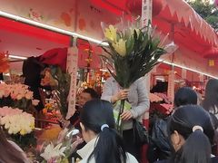 -越秀西湖花市(广州城市广场花卉店)