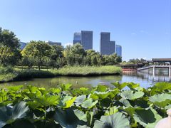 -西海子公园