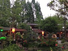 -青城甲(青城山店)