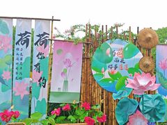 -荷塘月色湿地公园·向阳花洲