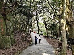 -普陀山慧济禅寺