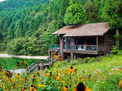 -武陵山森林公园