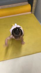 -奈尔宝家庭中心·亲子餐厅(苏州大悦城店)