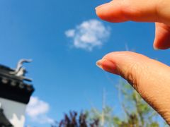 -武清南湖绿博园