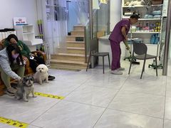 -达爱动物医院·犬猫分区·CT·复杂眼科(远洋山水分院)