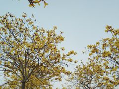 -露天矿生态公园