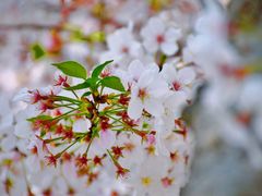 -龙美术馆(西岸馆)