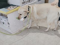 -纳吉亚猫专科动物医院·北北分院