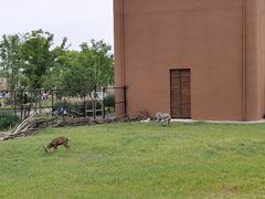 -祥源·阜阳生态乐园