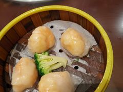-粤港餐厅(禹州商业广场店)