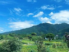 -杨家堂村