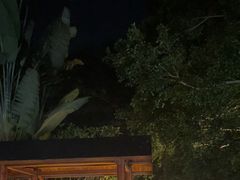 -碧水湾温泉