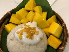 -GOGO Plate(成都太古里店)