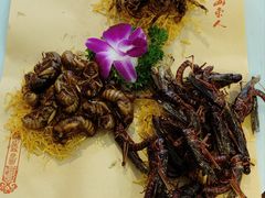 -鲁菜根·泰山菜(泰山店)