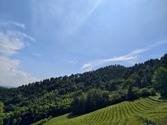 -敬亭山风景名胜区