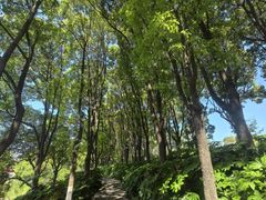 -美兰湖景区