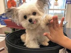 -绍兴启迪乔波冰雪世界