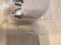 小小蒸米糕(紫米味)-一鸣真鲜奶吧(龙江地铁站店)