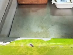 -豪香里脊肉串(大中路店)