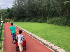 -奥林匹克森林公园南门-停车场