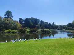 -墨尔本皇家植物园