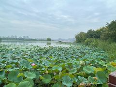 -云龙湖旅游景区