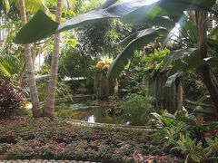 -北京植物园-展览温室