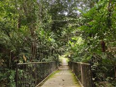 -槟城植物园